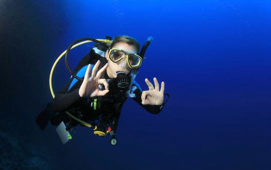 Best Of Red Sea , Two Weeks diving Safari 